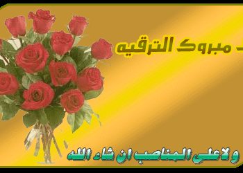 موظفو مندوبية الصيد البحري يهنئون ابراهيم بودينار المفتش العام الجديد لقطاع الصيد البحري