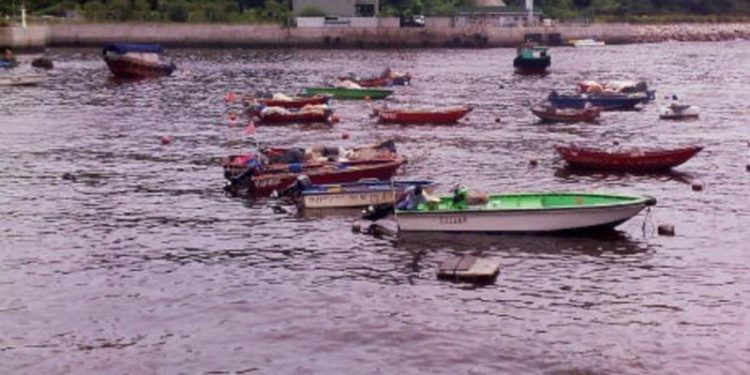 تشيلي تدرس علاقة صناعة السلمون بالمد الأحمر