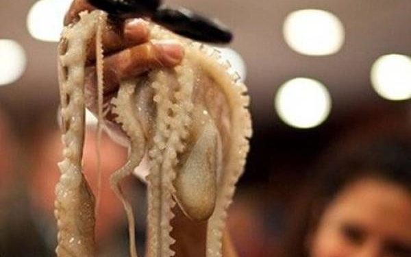 بالفيديو: فتاة تتناول أخطبوطاً على قيد الحياة في مشهد مثير للاشمئزاز