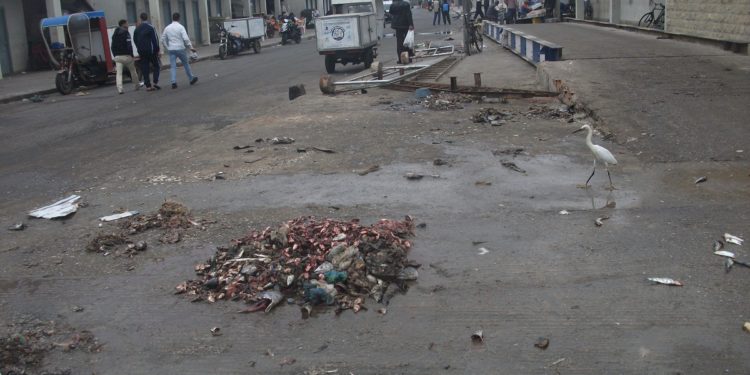 الفيدرالية الإقليمية للصيد البحري بالجديدة تستنكر الوضع البيئي داخل ميناء الجديدة