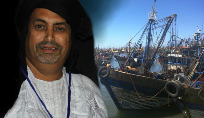 وزارة الصيد البحري تصدر عفو ا عن صيد السردين خلال الفترة الصيفية بميناء طانطان