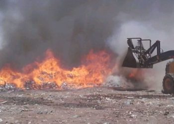 المصالح الجمركية بميناء طانطان تتخلص من طن و 300 كلغ من الممنوعات المعدة للتهريب