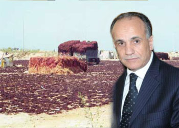 الكنفدرالية الوطنية لفعاليات الصيد البحري و الأحياء المائية بالمغرب تتساءل المسؤولين عن مآل حصص تصدير الطحالب الخامة بالنسبة للشركات و التعاونيات