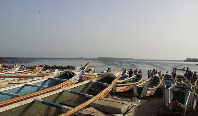 اطلبوا السمك و لو من موريتانيا