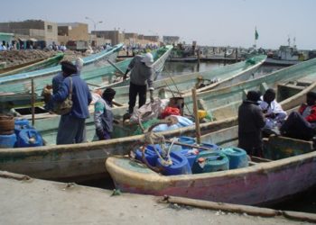 الصيد التقليدي في انواذيبو: أمل في الانتعاش بعد انتهاء الراحة البيولوجية