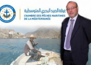 غرفة الصيد  البحري المتوسطية بطنجة بوابة المغرب نحو افريقيا و العالم