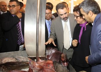 رواق غرفة الصيد لأكادير يستنفد المعروضات السمكية ثاني أيام المعرض الوطني للاقتصاد الاجتماعي و التضامني