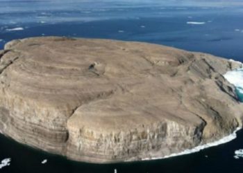 «هانس».. جزيرة جرداء تشعل الصراع بين كندا والدنمارك