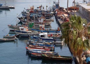 318 رخصة صيد بحري جديدة للنهوض بقطاع الصيد بالعاصمة الجزائرية