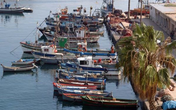 318 رخصة صيد بحري جديدة للنهوض بقطاع الصيد بالعاصمة الجزائرية