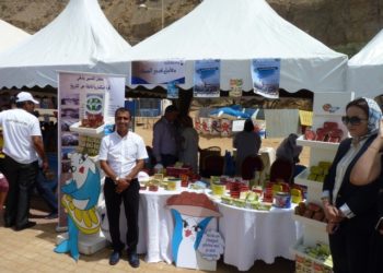 الصناعات السمكية تؤكد الحضور في يوم البحر و البيئة البحرية بآسفي