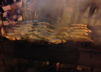 مهرجان “عيد السمك” في تونس يستقطب 150 ألف زائر في يومه الأول
