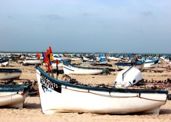 الصيد التقليدي بجهة وادي الذهب يحقق1.02 مليار درهم كرقم معاملات سنة2015