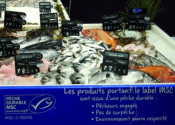 Les Français prêts à changer leurs habitudes de consommation pour préserver les océans