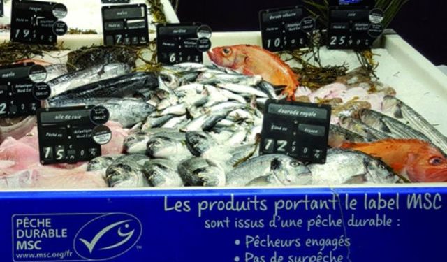 Les Français prêts à changer leurs habitudes de consommation pour préserver les océans