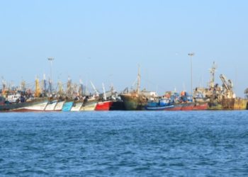 Les Professionnels De La Pêche Côtière Et De La Pêche Hauturière Entre Le Marteau Et L’Enclume