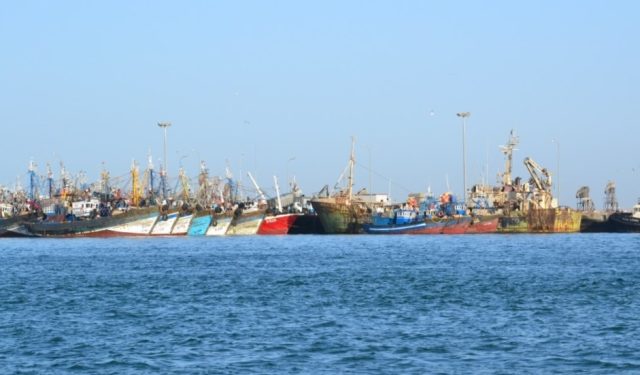 Les Professionnels De La Pêche Côtière Et De La Pêche Hauturière Entre Le Marteau Et L’Enclume