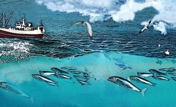 La consommation de carburant en mer