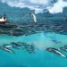 La consommation de carburant en mer