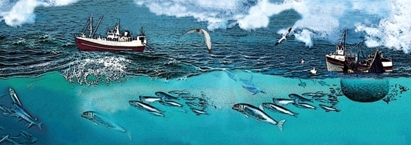 La consommation de carburant en mer