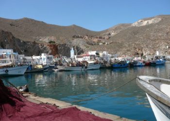 سكان الحسيمة عاشوا لسنين على خديعة المهربين،و لهذه الاسباب هوى سعر السردين الى 07 دراهم