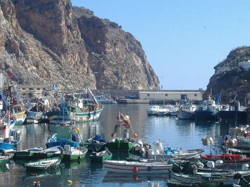الصيد التقليدي المفعول به في حرب مافيا التهريب مع وزارة الصيد البحري