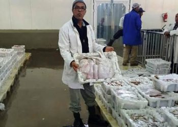 الفدرالية المغربية لتجار السمك تطالب بلقاء استعجالي لفض اشكالية الصناديق البلاستيكية