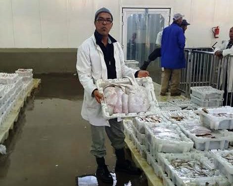 الفدرالية المغربية لتجار السمك تطالب بلقاء استعجالي لفض اشكالية الصناديق البلاستيكية