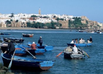 ﻿«فلايكية» أبو رقراق