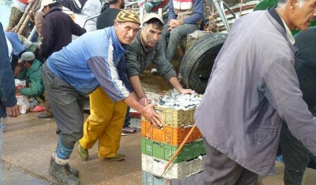 مهنيو صيد السردين بميناء اسفي  يعلقون إضرابهم