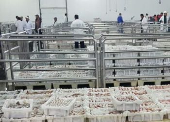تجار السمك يسخطون على الفدرالية المغربية لتجار السمك بالجملة