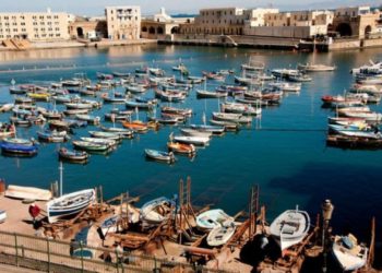 الجزائر”جمعيات تدعو الى الدفاع عن مصالح الصيد التقليدي في صيد التونيات”