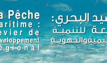 غرفة الصيد البحري الاطلسية الوسطى بأكادير تنظم لقاء دراسيا حول ميناء طانطان