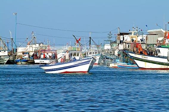 الإتحاد التونسي للفلاحة والصيد البحري يدعو الى التعجيل بمراجعة أنظمة التغطية الاجتماعية لتشمل صغار البحارة