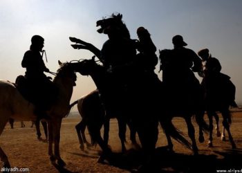 فرسان الصيد البحري يركبون على انجازات المكتب الجديد لنقابة أرباب مراكب الصيد الصناعي