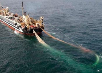 Pêche: l’océan se vide, l’aquarium se remplit