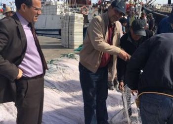 مندوبية الصيد البحري بأكادير تقوم بحملة تمشيطية ضد شباك ممنوعة