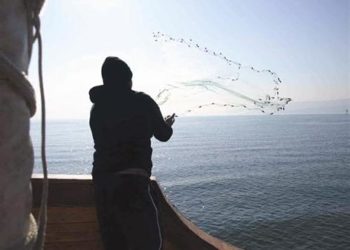 هواتف ذكية تساعد الصيادين في تحديد مواقع الأسماك