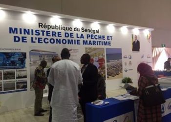 L’Afrique au salon Halieutis d’Agadir