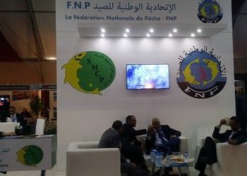 حضور فعال للأفارقة في معرض “اليوتيس”” “