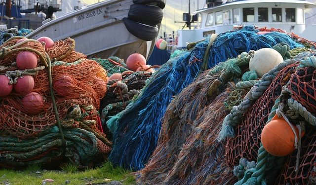 تفشي الصيد غير القانوني وتسويق منتجاته على ضوء ضعف التدابير القانونية وتطبيقها