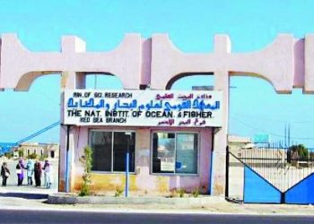 معهد علوم البحار يعلن انتخاب مصر رئيساً للجنة الإفريقية لعلوم المحيطات