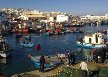 شركة تهيئة ميناء طنجة تستجيب لمطالب المهنيين بالمحافظة على السومة الكرائية للمرافق