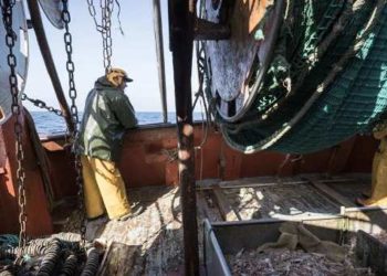 Les pêcheurs européens se mobilisent pour peser sur le Brexit