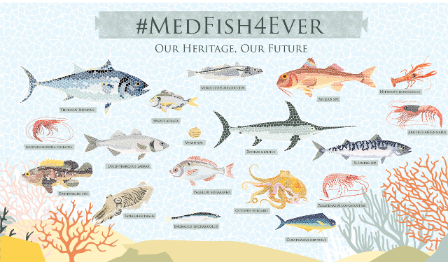 Conférence ministérielle à Malte sur la pêche en Méditerranée