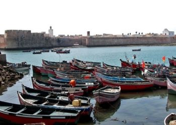 خبراء مغاربة يبحثون سبل تطوير المنصة المغاربية للصيد التقليدي