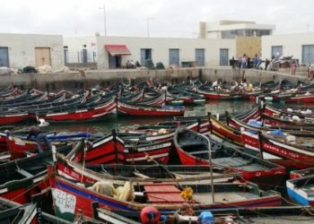 الجديدة : حملة التمشيطية لمحاربة الصيد العشوائي لمندوبية الصيد البحري
