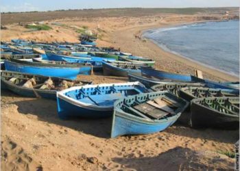 مندوبية الصيد البحري تدمر 34 قاربا للصيد التقليدي غير قانوني