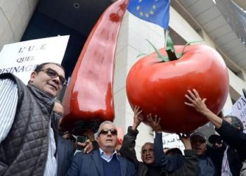 المغرب لا يستفيد كثيرا من امتياز الوضع المتقدم مع أوروبا