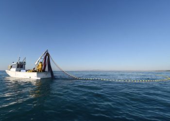 Les pécheurs de la Manche et de l’Atlantique redoutent la sortie du Royaume